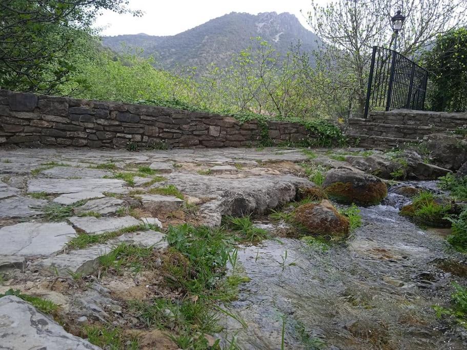 Alojamientos Sierra De Cadiz Benamahoma Luaran gambar