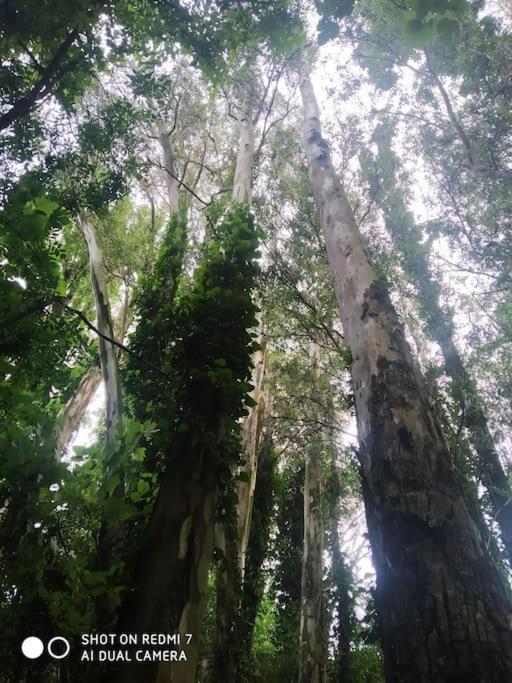 Alojamientos Sierra De Cadiz Benamahoma Luaran gambar
