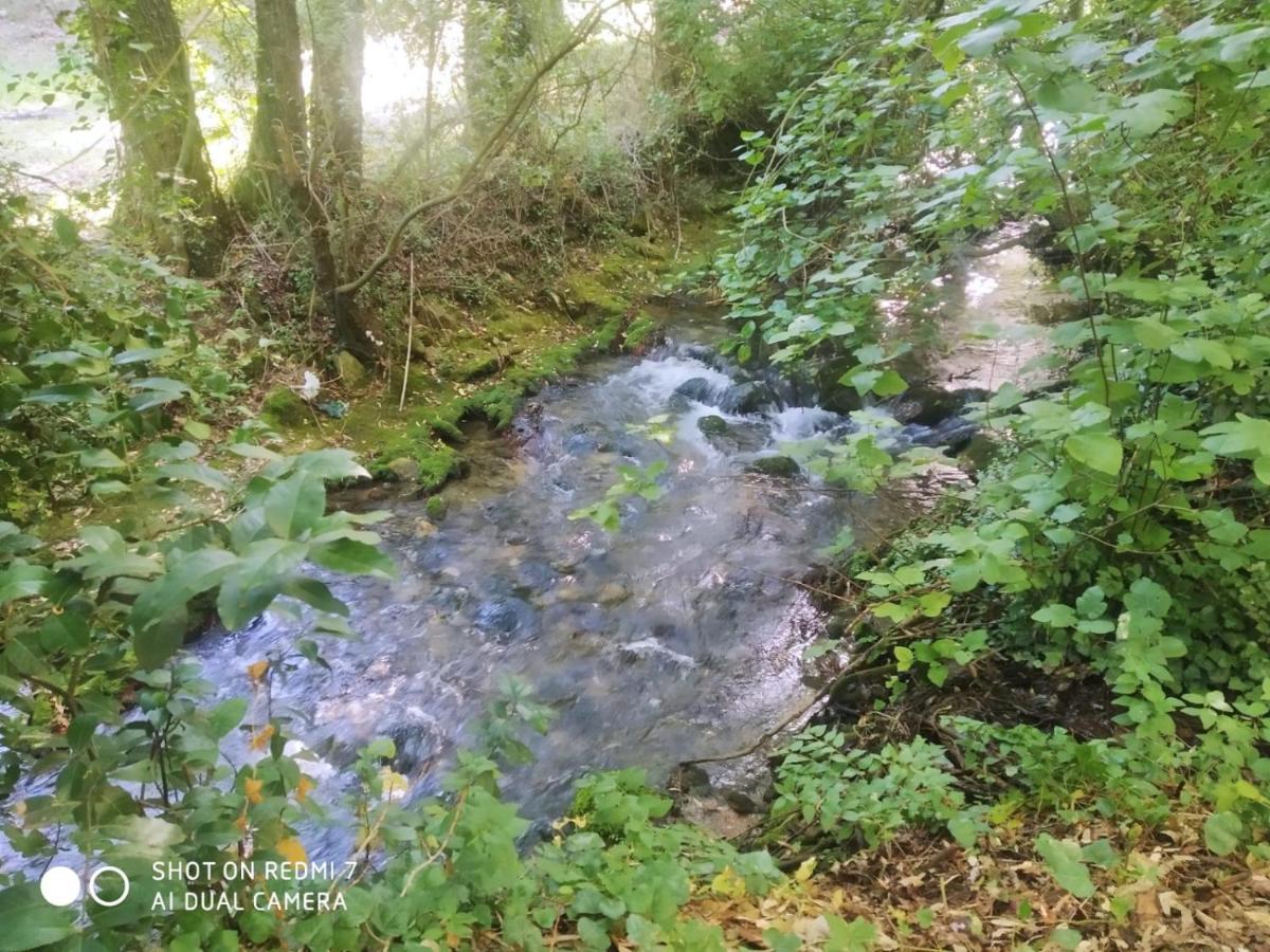Alojamientos Sierra De Cadiz Benamahoma Luaran gambar