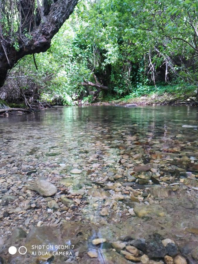 Alojamientos Sierra De Cadiz Benamahoma Luaran gambar