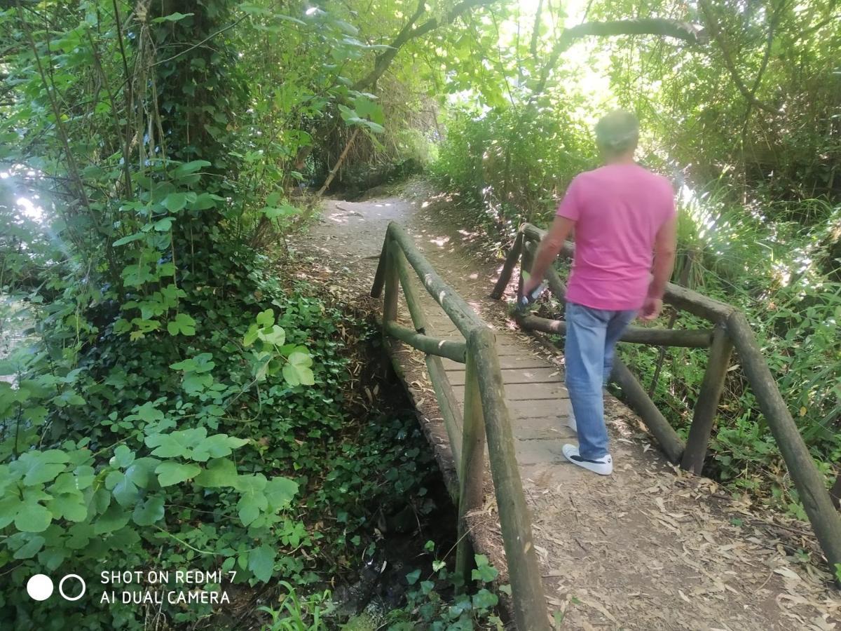 Alojamientos Sierra De Cadiz Benamahoma Luaran gambar