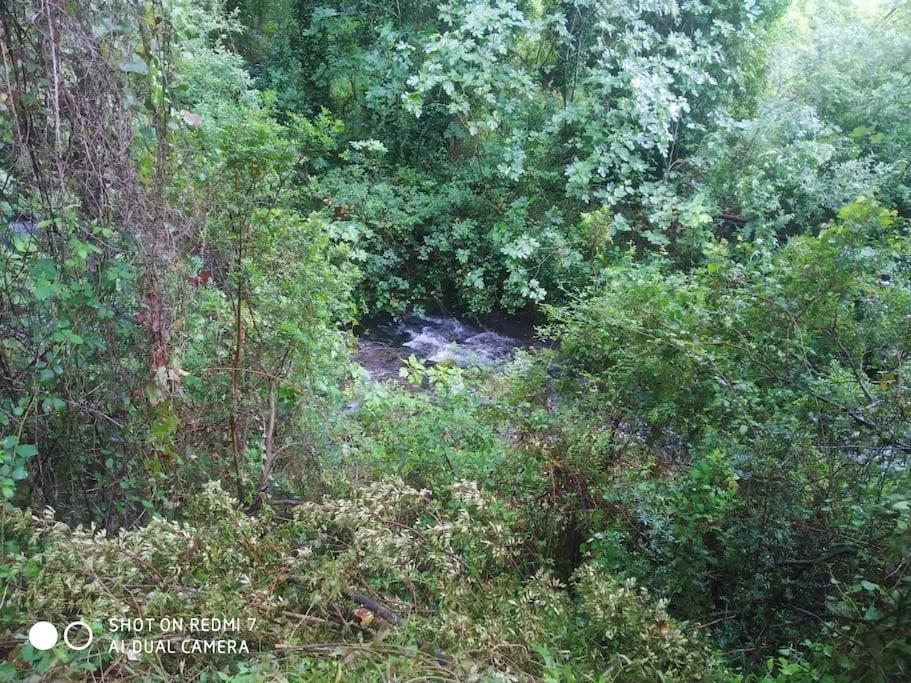 Alojamientos Sierra De Cadiz Benamahoma Luaran gambar