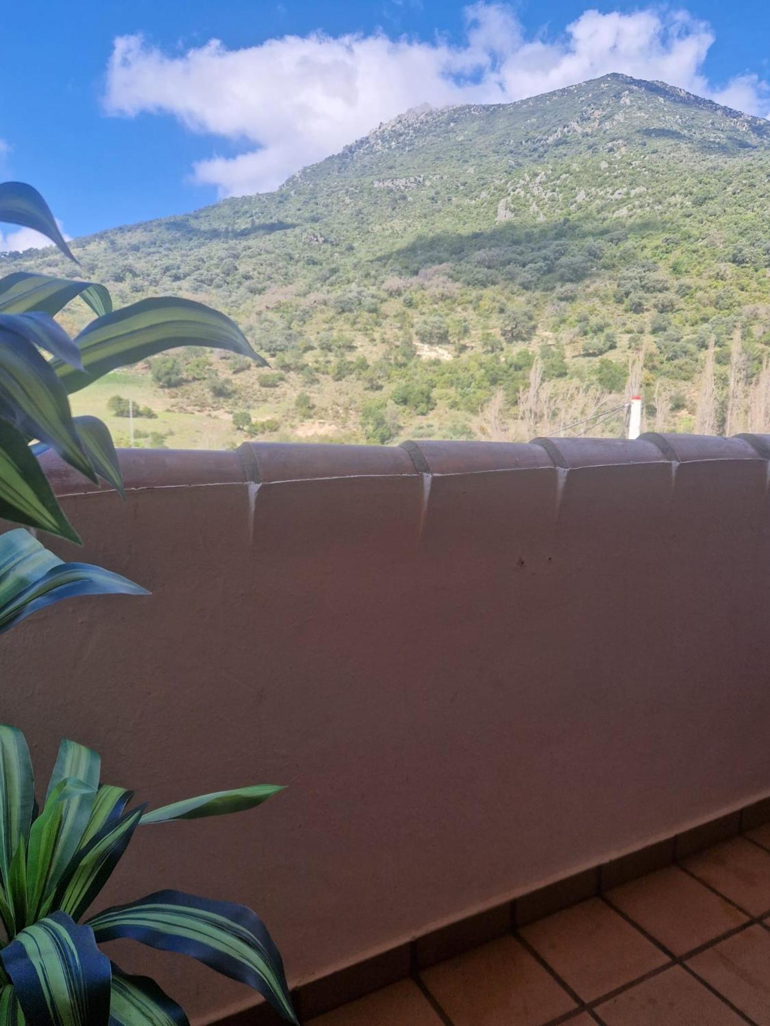 Alojamientos Sierra De Cadiz Benamahoma Luaran gambar